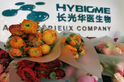 公司三八妇女节员工福