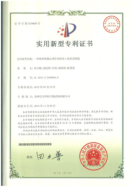 2013年及之前实用新型专利